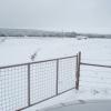 About 6 inches of snow